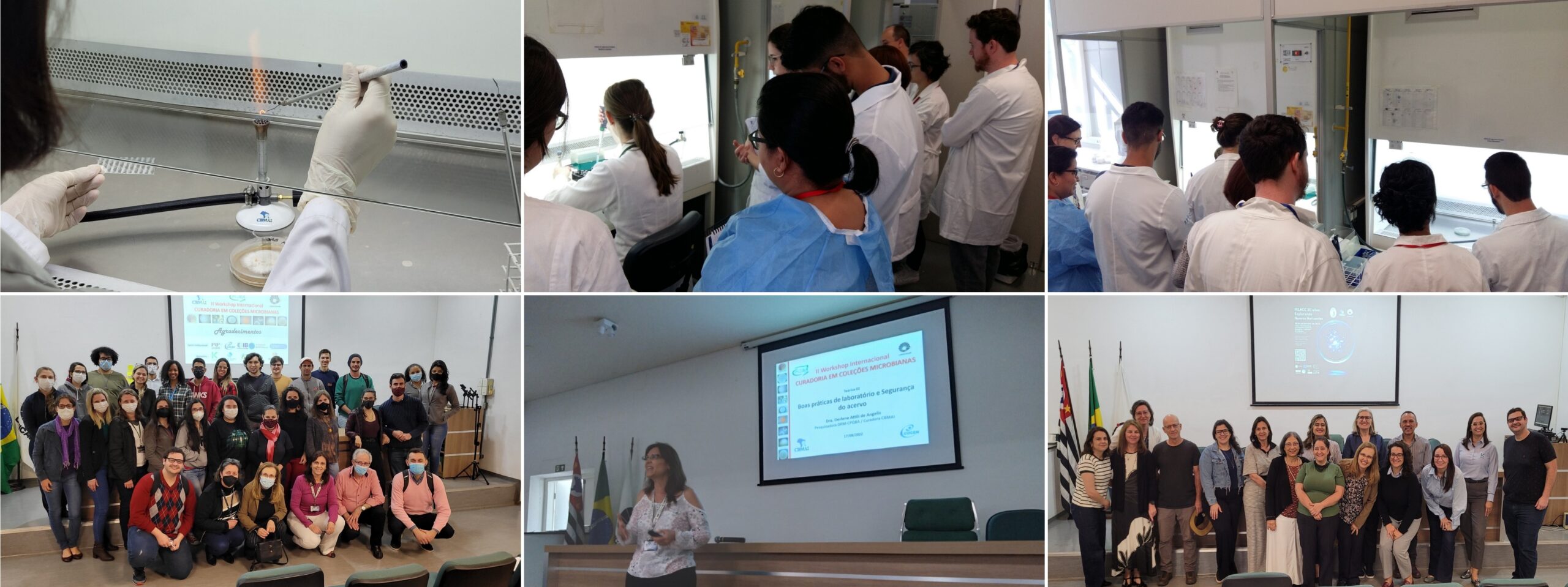 Laboratório <br>de microbiologia